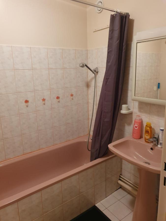 Dans Grand Appart De 113M2 Proche Paris Creil Dış mekan fotoğraf